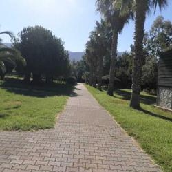 Imagine pentru Thalassa Hotel & Spa Cazare - Paleros 2025