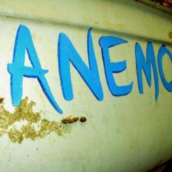 Imagine pentru Hotel Anemos Cazare + Autocar - Polichrono (kassandra) 2025