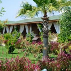 Imagine pentru Hotel Flora Garden Beach Charter Avion - Side 2026