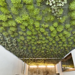 Imagine pentru Hotel Palazzo Calò Cazare - Bari 2026