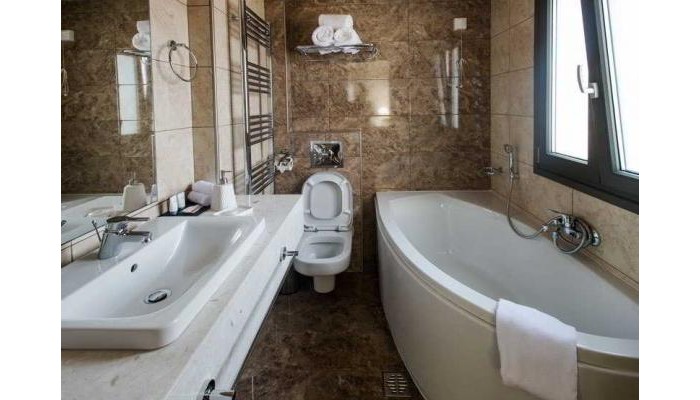 Hotel Theasis poza 0