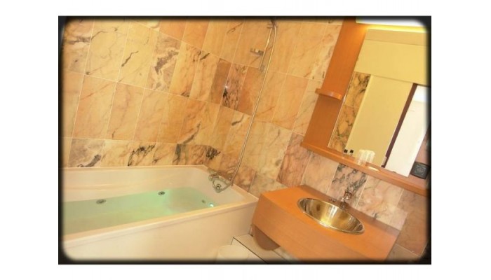 Brit Hotel Rennes - Le Castel poza 7