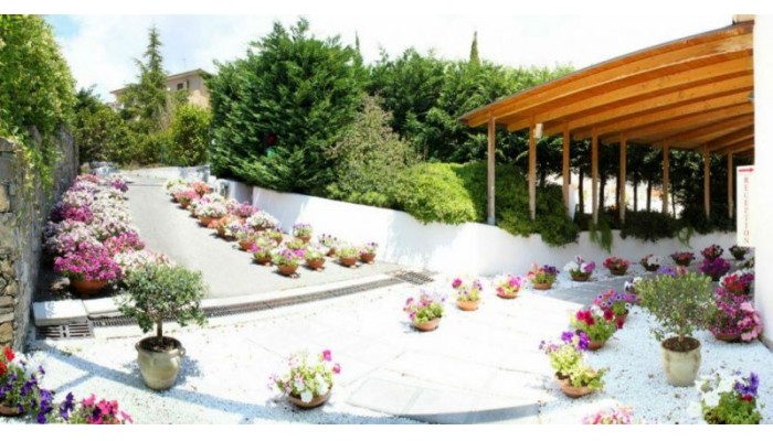 Best Western Hotel Anthurium poza 1