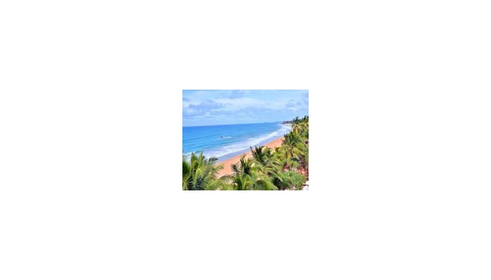 Poza pentru Pandanus Beach Resort And Spa 236-1455280790 Pandanus Beach Resort And Spa poza 6