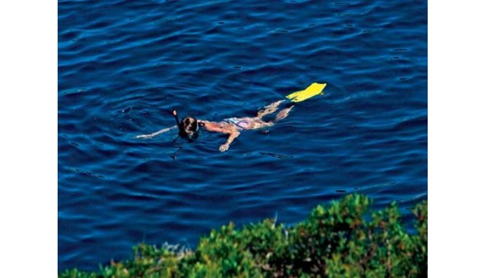 Family Hotel Vespera poza 38