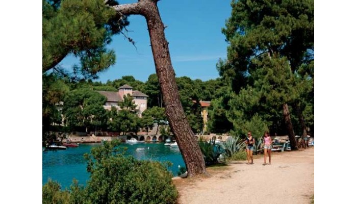 Family Hotel Vespera poza 27