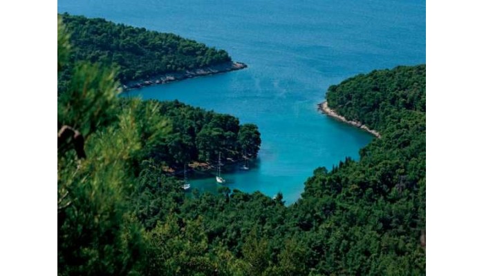 Hotel Vitality Punta poza 23