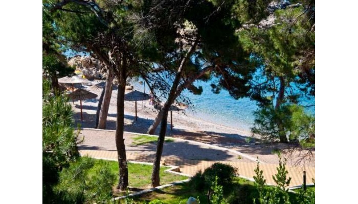 Hotel Carolina poza 30