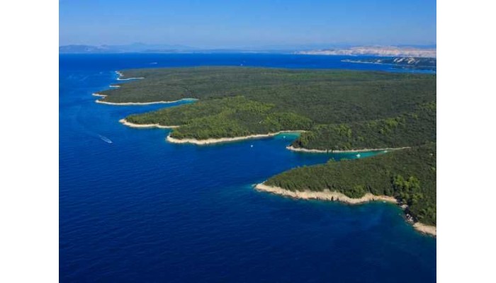 Hotel Carolina poza 25