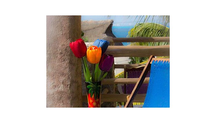 Hotel Paraiso Mexicano poza 11