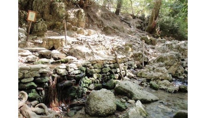 Hotel Orion Houses poza 24