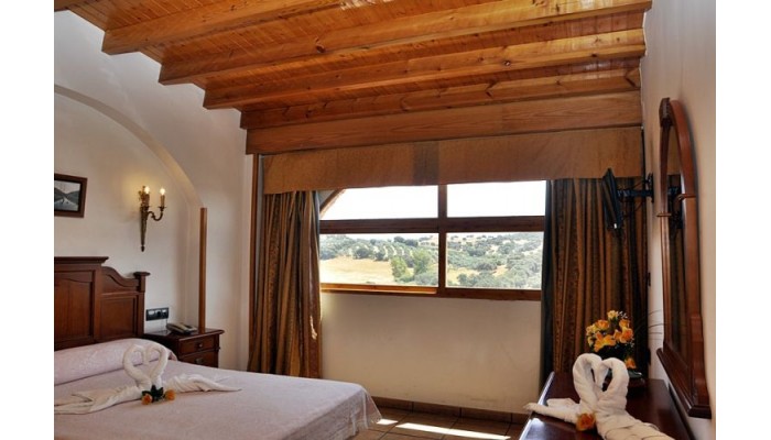 Hotel Alfonso Viii poza 0