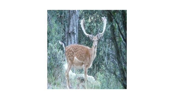 Hotel Montana De Cazorla poza 6