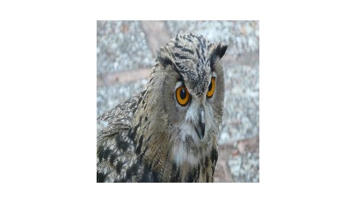 Hotel Montana De Cazorla poza 10