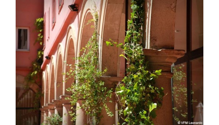 Hotel Trh Baeza poza 11