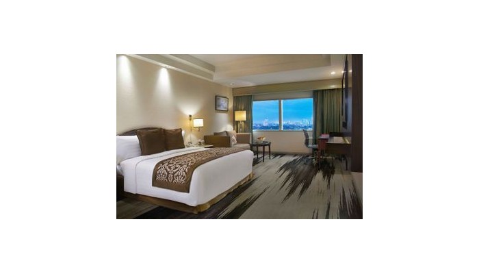 Hotel Gran Melia poza 5