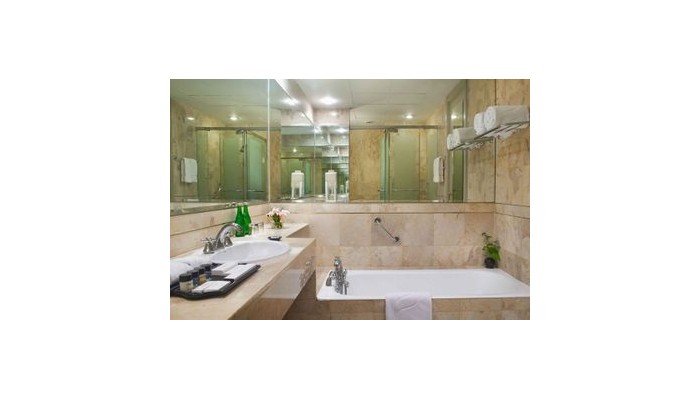 Hotel Gran Melia poza 10