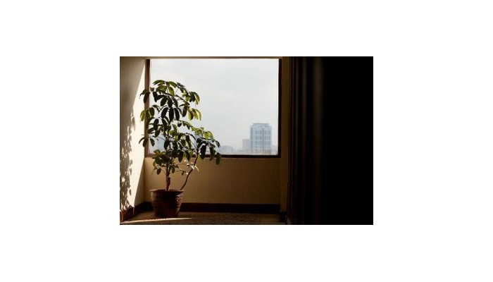 Hotel Ibis Mangga Dua poza 1