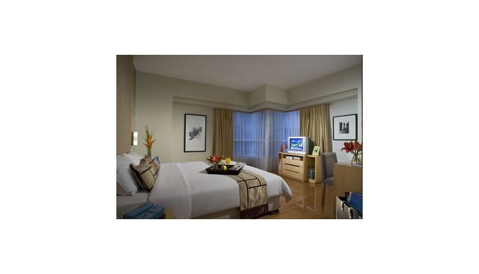 Hotel Somerset Berlian poza 11