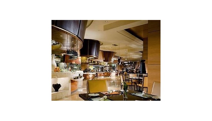 Hotel The Ritz Carlton Jakarta, Mega poza 9