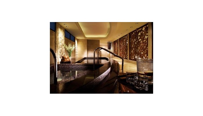 Hotel The Ritz Carlton Jakarta, Mega poza 8