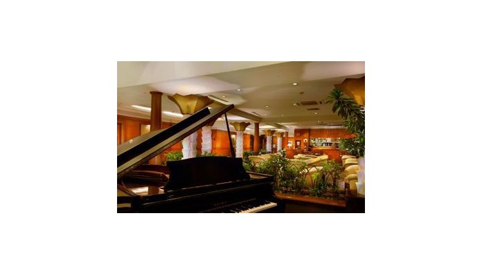 Media Hotel And Towers poza 11