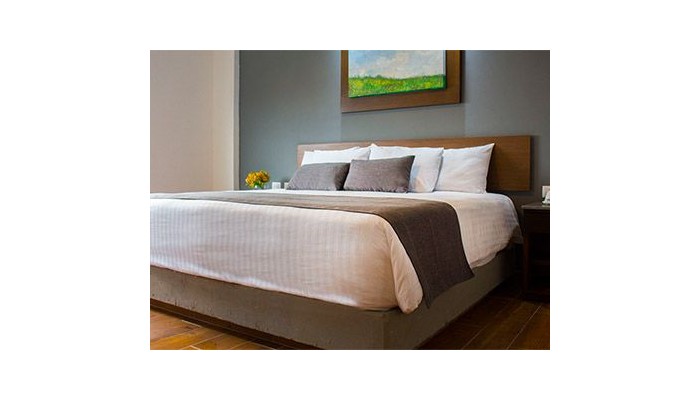 Eco Hotel Guadalajara Expo poza 4