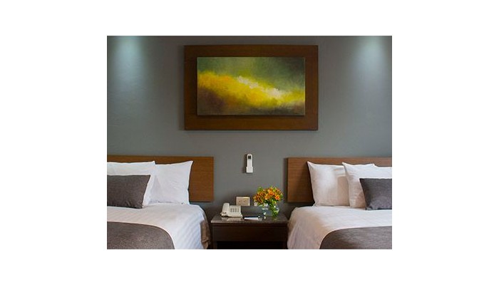 Eco Hotel Guadalajara Expo poza 5