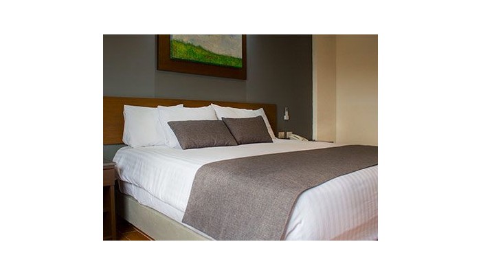 Eco Hotel Guadalajara Expo poza 9