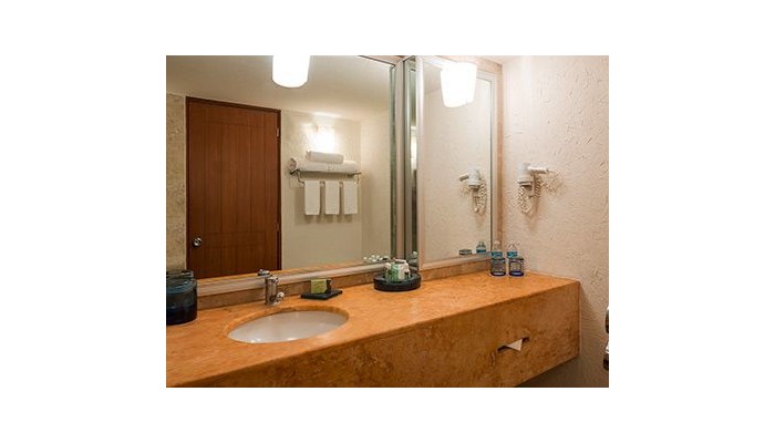 Hotel Camino Real Guadalajara poza 10