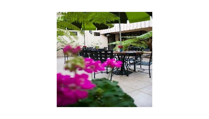 Hotel Casino Plaza Guadalajara poza 11