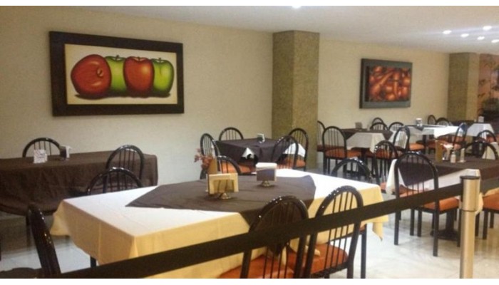 Hotel Dali Ejecutivo poza 7