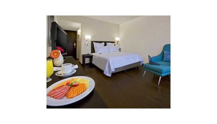 Hotel Fiesta Inn Guadalajara Expo poza 3