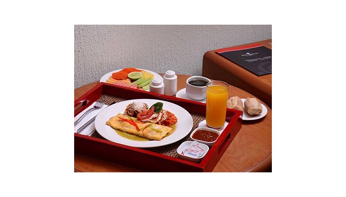 Hotel Guadalajara Plaza Expo Business Class poza 5