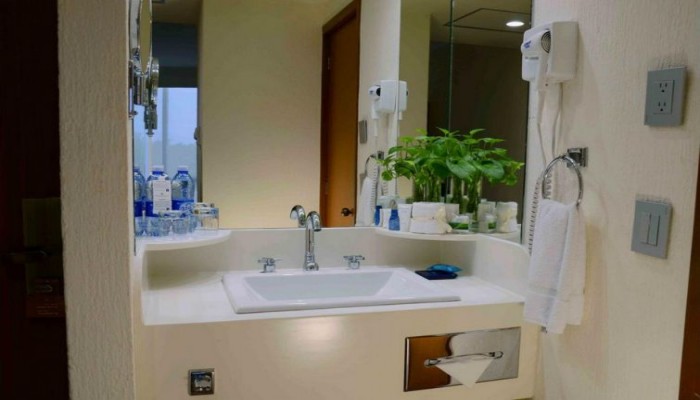 Hotel Guadalajara Plaza Expo poza 0