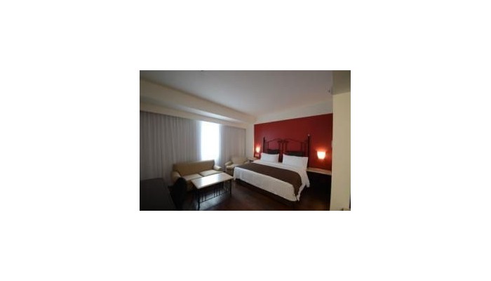 Hotel Holiday Inn & Suites Historico Guadalajara poza 8