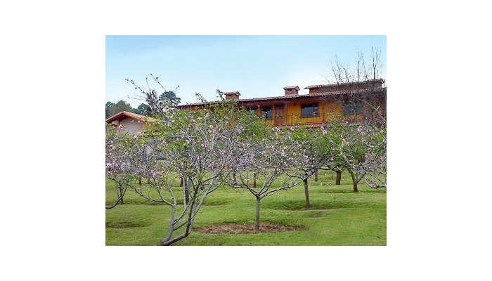 Hotel Huerta Real poza 10