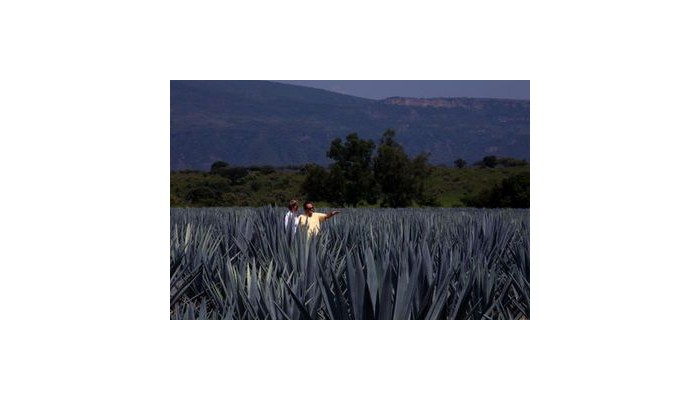 Hotel Intercontinental Presidente poza 2