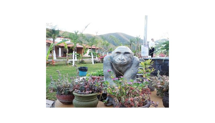 Hotel Las Jaras Parque Acuatico Y Spa Temazcal poza 8