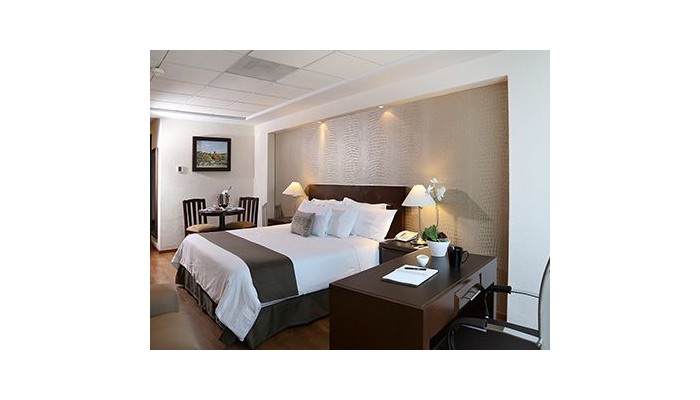 Hotel Meson Ejecutivo poza 5