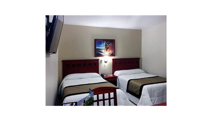 Hotel Nv Guadalajara poza 1