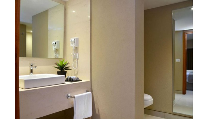 Hotel Posada Guadalajara poza 0