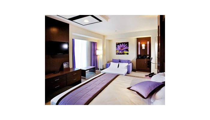 Hotel Riu Plaza Guadalajara poza 3