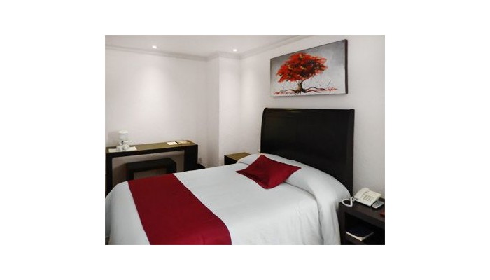 Hotel Roma Guadalajara poza 10