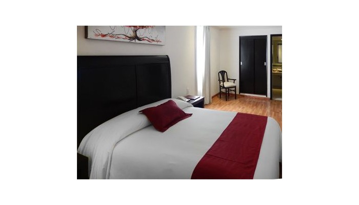 Hotel Roma Guadalajara poza 5