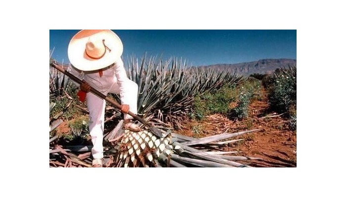 Hotel San Juan poza 6