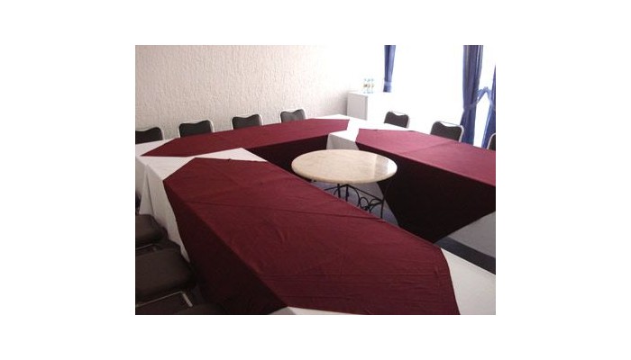 Hotel Suites Del Real Guadalajara poza 4