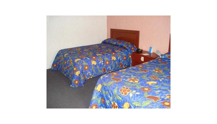 Hotel Suites Del Real Guadalajara poza 0