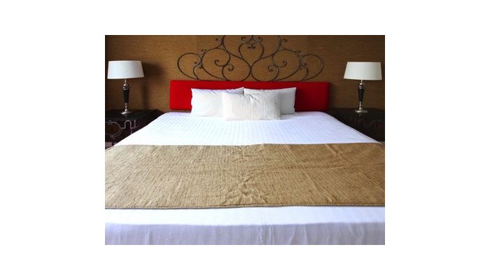 Hotel Zar Guadalajara poza 1