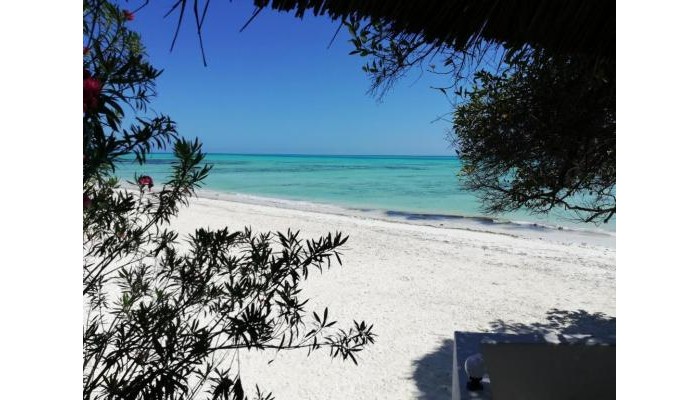 Hotel Red Monkey Beach Lodge poza 22